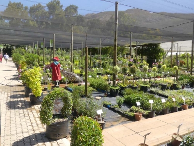 Gartencenter in Afrika 25ha
