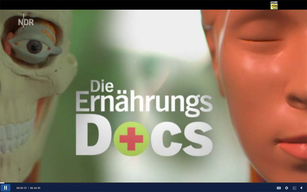 die-ern-hrungs-docs-webdesign-nordharz